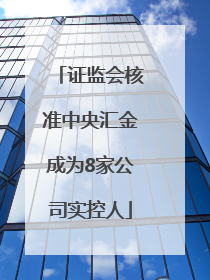 证监会核准中央汇金成为8家公司实控人