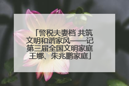 警税夫妻档 共筑文明和谐家风——记第三届全国文明家庭王娜、朱兆鹏家庭