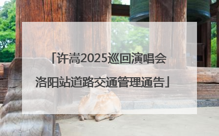 许嵩2025巡回演唱会洛阳站道路交通管理通告