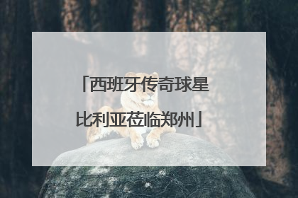 西班牙传奇球星 比利亚莅临郑州