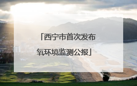 西宁市首次发布氧环境监测公报