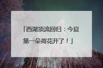 西湖顶流回归：今夏第一朵荷花开了！