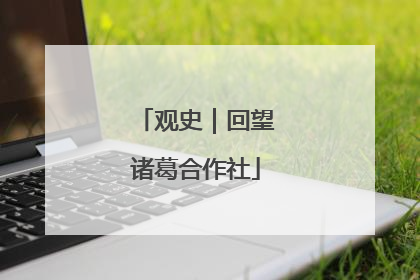 观史｜回望诸葛合作社