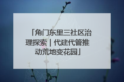 角门东里三社区治理探索｜代建代管推动荒地变花园