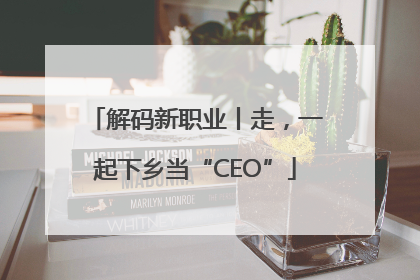 解码新职业丨走，一起下乡当“CEO”