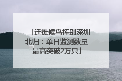 迁徙候鸟挥别深圳北归：单日监测数量最高突破2万只