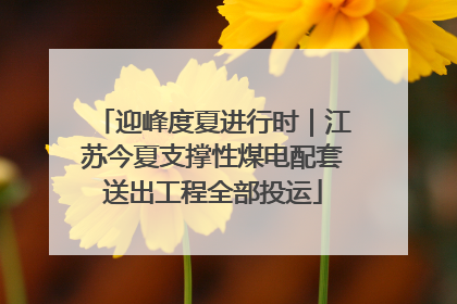 迎峰度夏进行时｜江苏今夏支撑性煤电配套送出工程全部投运