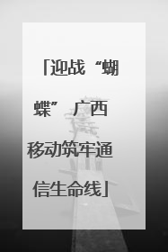 迎战“蝴蝶” 广西移动筑牢通信生命线