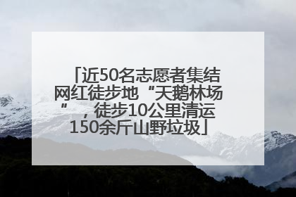 近50名志愿者集结网红徒步地“天鹅林场”，徒步10公里清运150余斤山野垃圾