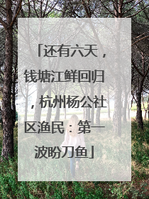 还有六天，钱塘江鲜回归，杭州杨公社区渔民：第一波盼刀鱼