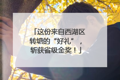 这份来自西湖区转塘的“好礼”，斩获省级金奖！