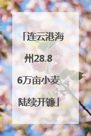 连云港海州28.86万亩小麦陆续开镰