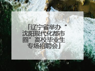 辽宁省举办“沈阳现代化都市圈”高校毕业生专场招聘会