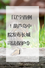 辽宁首例！葫芦岛中院发布长城司法保护令