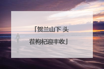 贺兰山下 头茬枸杞迎丰收