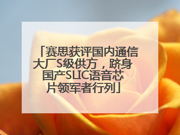 赛思获评国内通信大厂S级供方，跻身国产SLIC语音芯片领军者行列