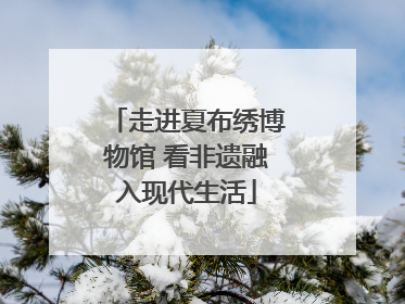 走进夏布绣博物馆 看非遗融入现代生活