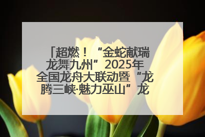 超燃！“金蛇献瑞 龙舞九州”2025年全国龙舟大联动暨“龙腾三峡·魅力巫山”龙舟邀请赛圆满落幕！