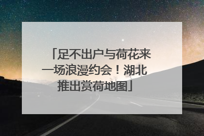 足不出户与荷花来一场浪漫约会！湖北推出赏荷地图