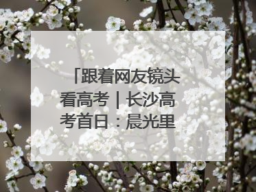 跟着网友镜头看高考｜长沙高考首日：晨光里的奔赴与守望