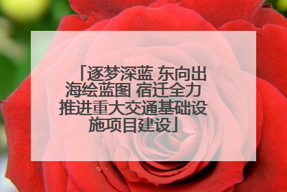 逐梦深蓝 东向出海绘蓝图 宿迁全力推进重大交通基础设施项目建设
