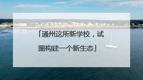 通州这所新学校，试图构建一个新生态