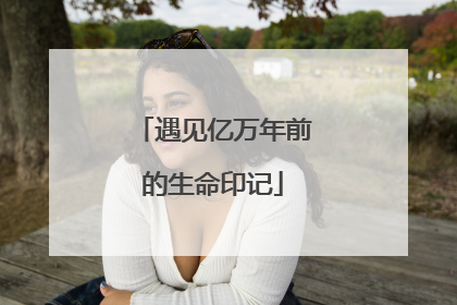 遇见亿万年前的生命印记