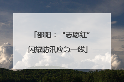 邵阳：“志愿红”闪耀防汛应急一线
