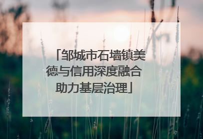邹城市石墙镇美德与信用深度融合助力基层治理