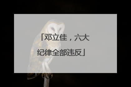 邓立佳，六大纪律全部违反