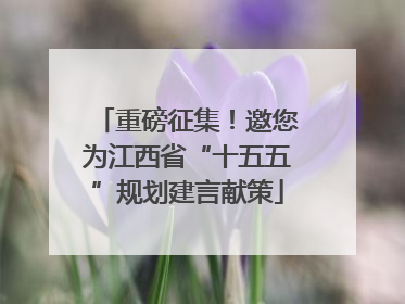 重磅征集！邀您为江西省“十五五”规划建言献策