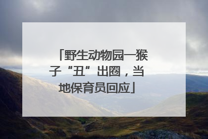 野生动物园一猴子“丑”出圈，当地保育员回应