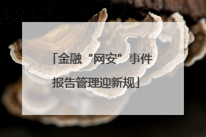 金融“网安”事件报告管理迎新规