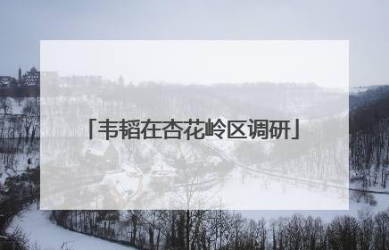 韦韬在杏花岭区调研