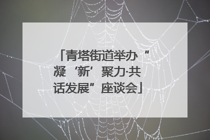 青塔街道举办“凝‘新’聚力·共话发展”座谈会