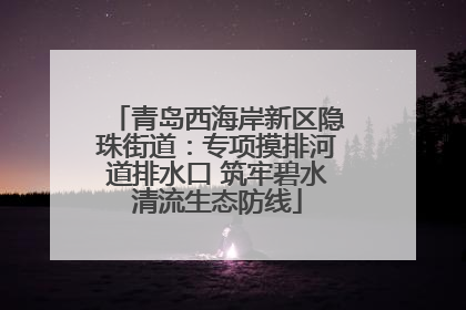 青岛西海岸新区隐珠街道：专项摸排河道排水口 筑牢碧水清流生态防线