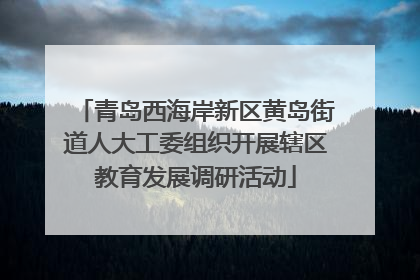 青岛西海岸新区黄岛街道人大工委组织开展辖区教育发展调研活动