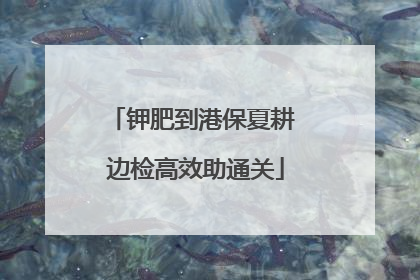 钾肥到港保夏耕 边检高效助通关