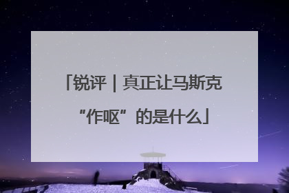 锐评｜真正让马斯克“作呕”的是什么
