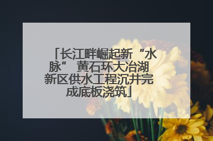 长江畔崛起新“水脉” 黄石环大冶湖新区供水工程沉井完成底板浇筑