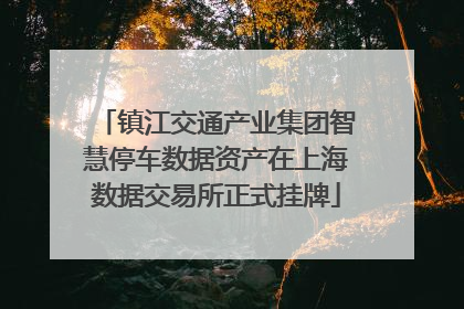 镇江交通产业集团智慧停车数据资产在上海数据交易所正式挂牌