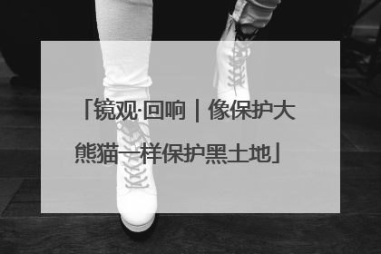 镜观·回响｜像保护大熊猫一样保护黑土地