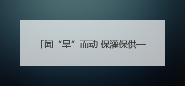 闻“旱”而动 保灌保供——陕西抗旱一线走访见闻