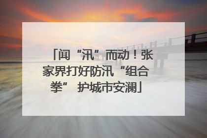 闻“汛”而动！张家界打好防汛“组合拳” 护城市安澜