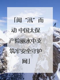 闻“汛”而动 中国太保产险丽水中支筑牢安全守护网