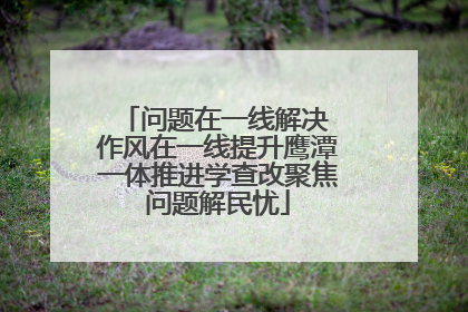 问题在一线解决 作风在一线提升鹰潭一体推进学查改聚焦问题解民忧