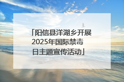 阳信县洋湖乡开展2025年国际禁毒日主题宣传活动