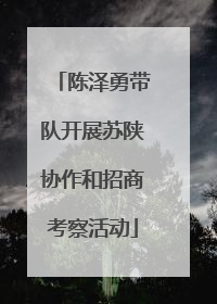 陈泽勇带队开展苏陕协作和招商考察活动