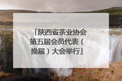 陕西省茶业协会第五届会员代表（换届）大会举行