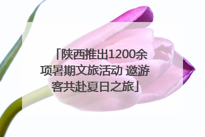 陕西推出1200余项暑期文旅活动 邀游客共赴夏日之旅